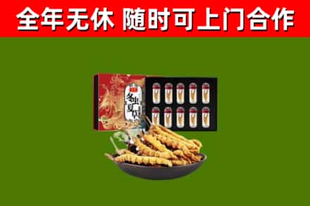 龙文区烟酒回收冬虫夏草礼盒.jpg